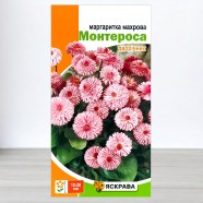 Насіння маргаритки махрової Монтероса рожева, 0,1г, ТМ Яскрава